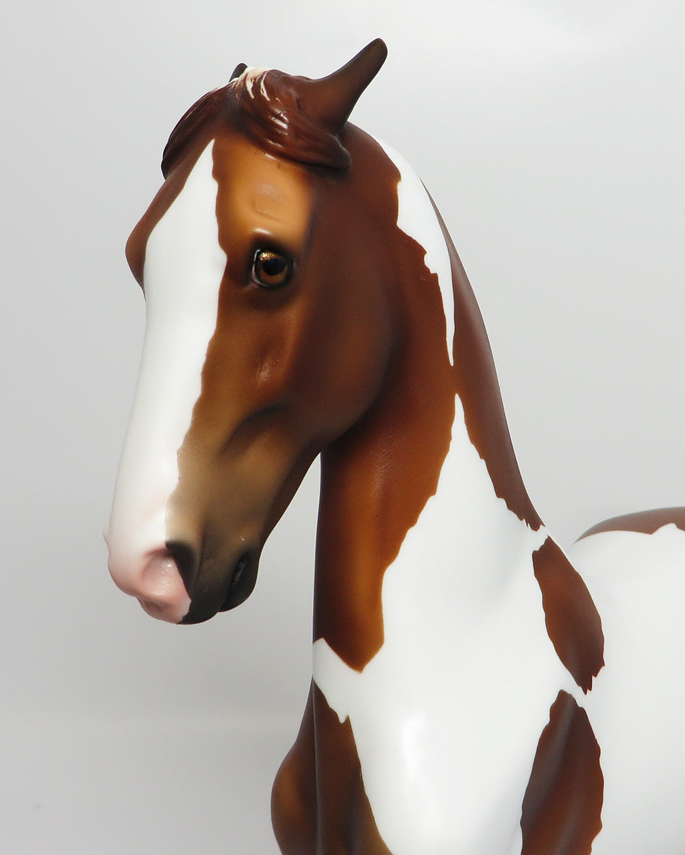 CHESSY-OOAK CHESTNUT PINTO SADDLEBRED MODEL HORSE 6/6/17