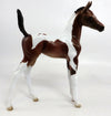 foal