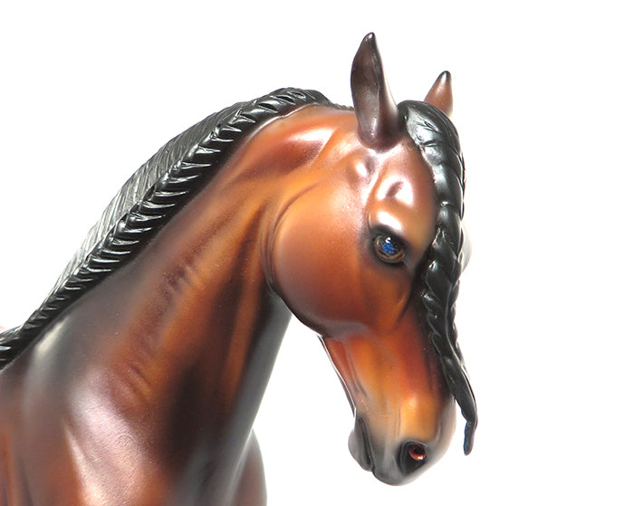 VOGEL-LE-10 DAPPLED BLOOD BAY BRAIDED MANE AND TAIL ANDALUSIAN BY CAROLINE BOYDSTON 7/27