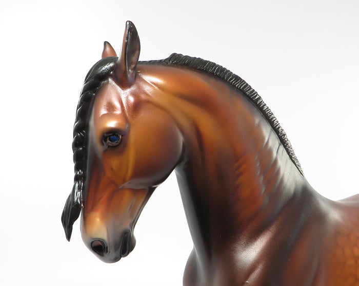 VOGEL-LE-10 DAPPLED BLOOD BAY BRAIDED MANE AND TAIL ANDALUSIAN BY CAROLINE BOYDSTON 7/27