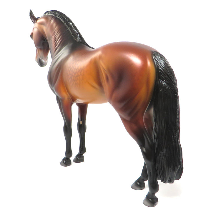 VOGEL-LE-10 DAPPLED BLOOD BAY BRAIDED MANE AND TAIL ANDALUSIAN BY CAROLINE BOYDSTON 7/27