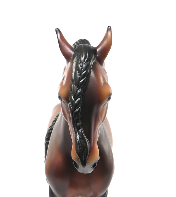 VOGEL-LE-10 DAPPLED BLOOD BAY BRAIDED MANE AND TAIL ANDALUSIAN BY CAROLINE BOYDSTON 7/27