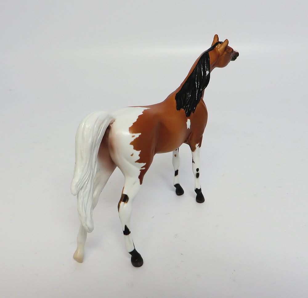 PEACE TRAIN~OOAK GOLDEN BAY PINTO ARABIAN CHIP MODEL HORSE 6.8/17