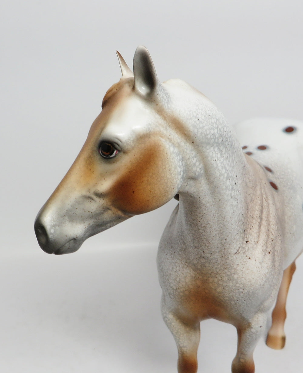 APPALOOSA