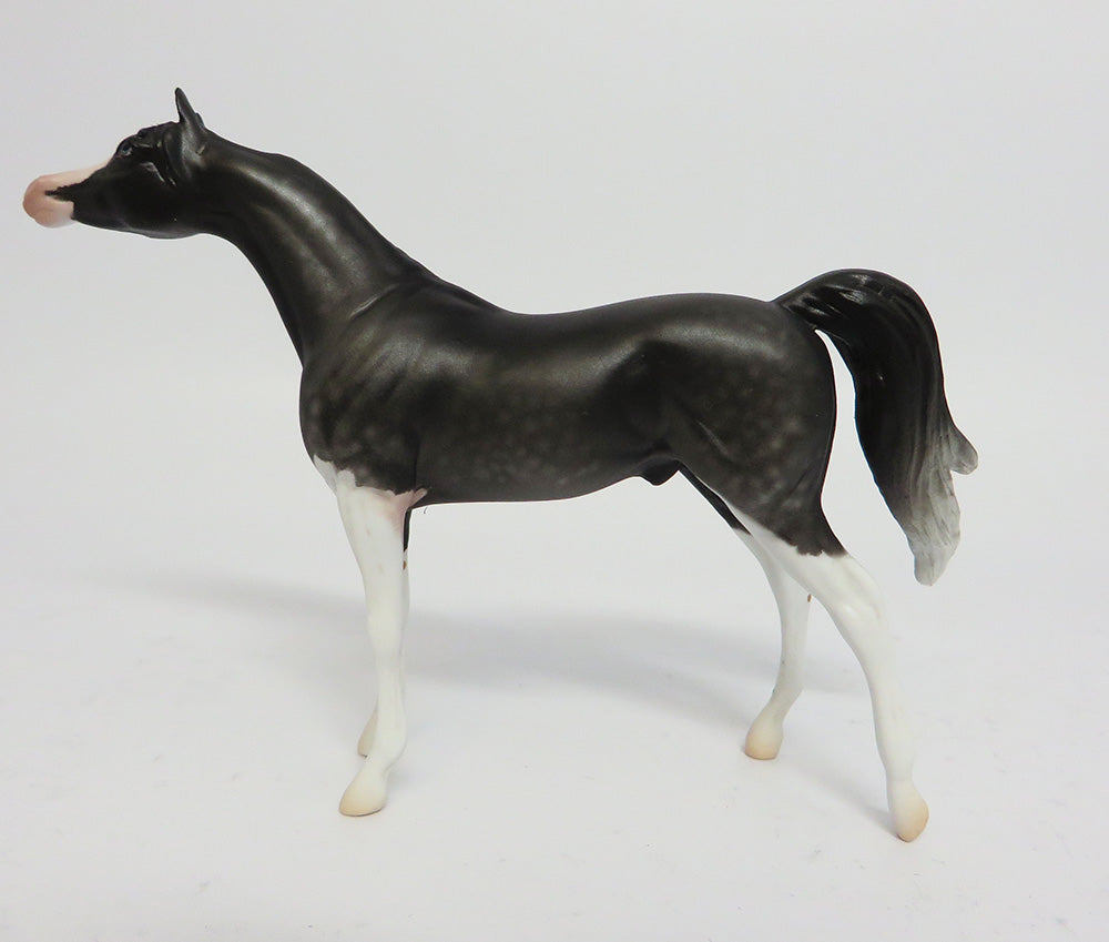 SHARIF~OOAK DAPPLE GREY PINTO ETCHED ARABIAN CHIP MODEL HORSE EQ2017