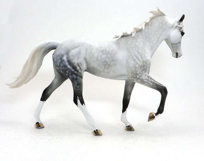 KODA-DAPPLE GREY- TENNESSEE WALKER-OOAK-10/15