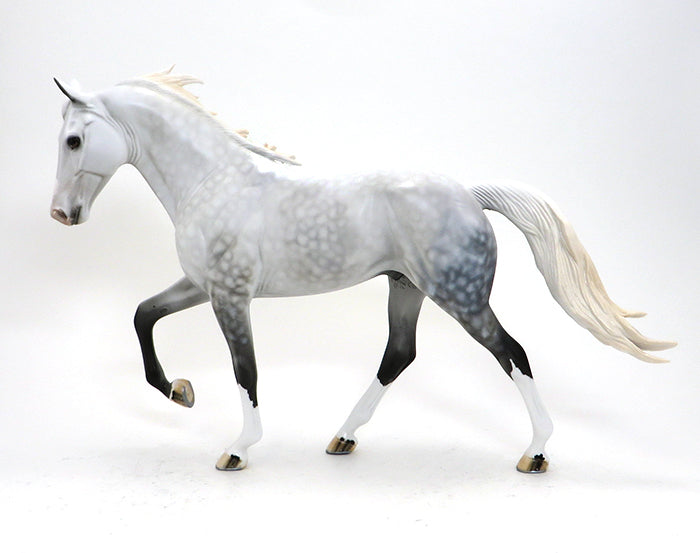 KODA-DAPPLE GREY- TENNESSEE WALKER-OOAK-10/15