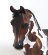 RHAPSODY AND RHYTHM - OOAK BROWN BAY OVERO PALOUSE-MODEL HORSE by SHERYL LEISURE - 1/11