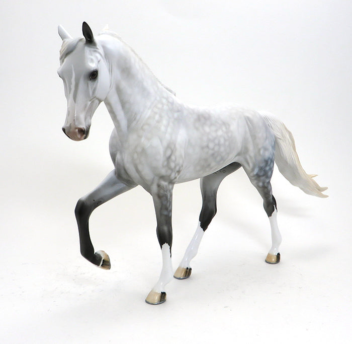 KODA-DAPPLE GREY- TENNESSEE WALKER-OOAK-10/15