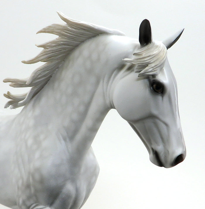 KODA-DAPPLE GREY- TENNESSEE WALKER-OOAK-10/15