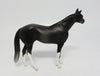 DOUBLE BACK~OOAK DAPPLE BLACK STOCK HORSE CHIP 6/7/17