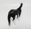 DOUBLE BACK~OOAK DAPPLE BLACK STOCK HORSE CHIP 6/7/17