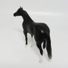 DOUBLE BACK~OOAK DAPPLE BLACK STOCK HORSE CHIP 6/7/17