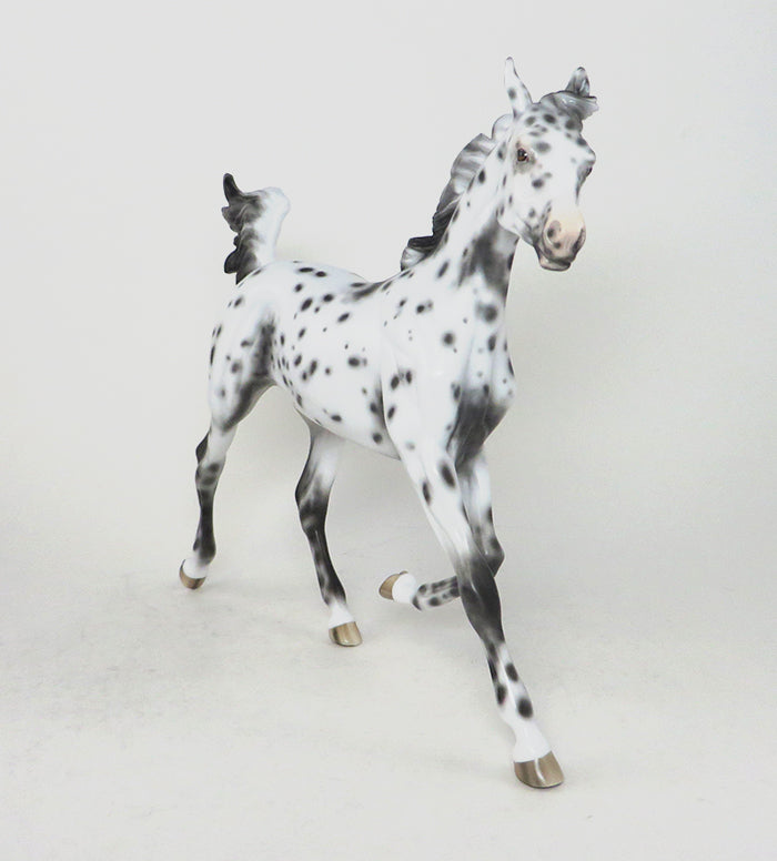 FRECKLES2-LOUD APPALOOSA YEARLING MODEL HORSE 12/15