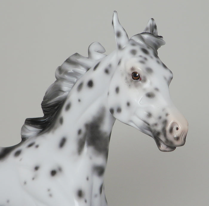 FRECKLES2-LOUD APPALOOSA YEARLING MODEL HORSE 12/15