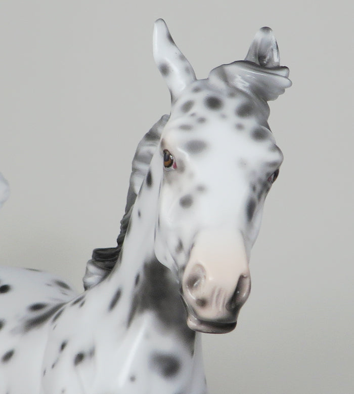 FRECKLES2-LOUD APPALOOSA YEARLING MODEL HORSE 12/15