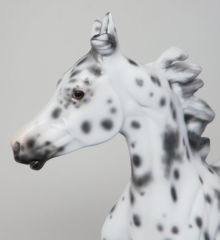 FRECKLES2-LOUD APPALOOSA YEARLING MODEL HORSE 12/15