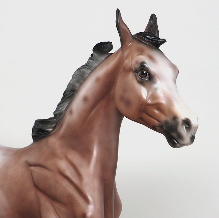 MY SECRET FANTASY~OOAK-BAY VARNISH ROAN APPALOOSA YEARLING MODEL HORSE 12/15