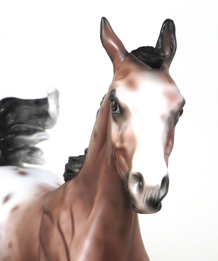 MY SECRET FANTASY~OOAK-BAY VARNISH ROAN APPALOOSA YEARLING MODEL HORSE 12/15
