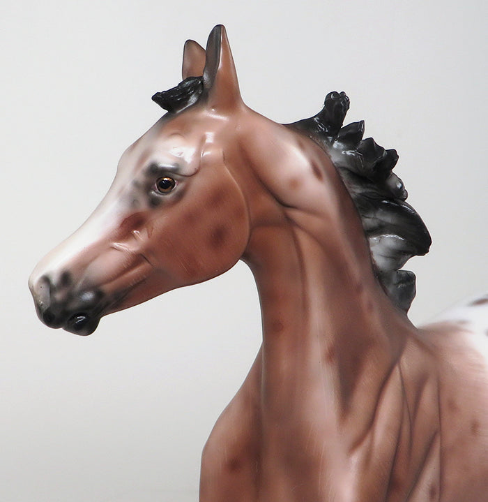 MY SECRET FANTASY~OOAK-BAY VARNISH ROAN APPALOOSA YEARLING MODEL HORSE 12/15