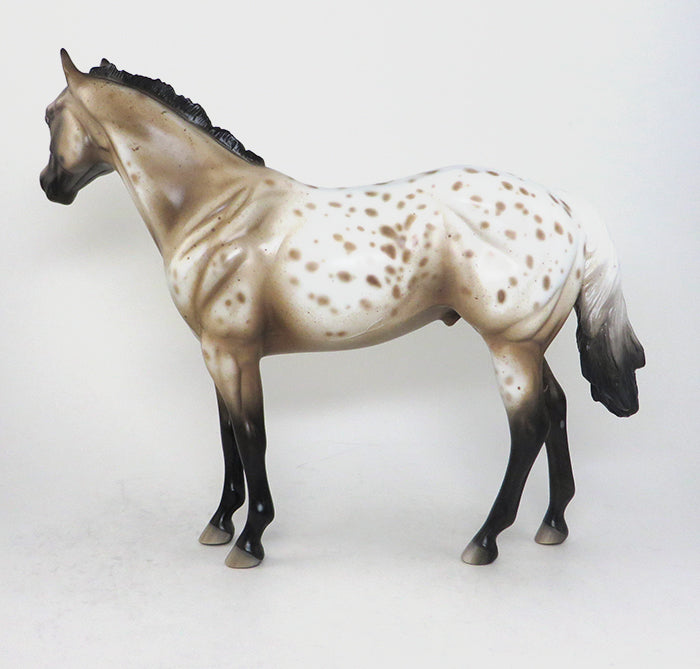 appaloosa buckskin mr. big