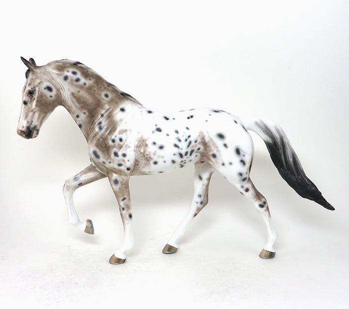 Roan Appaloosa