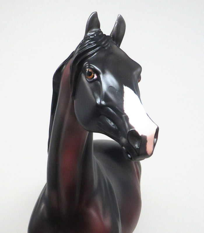 SOMETHING ROYAL - OOAK DARK BAY MORGAN BY KIM BLEECKER - 3/17