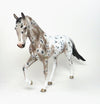 VARNISH ROAN APPALOOSA