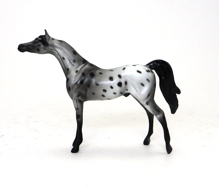 APPALOOSA ARABIAN MODEL HORSE
