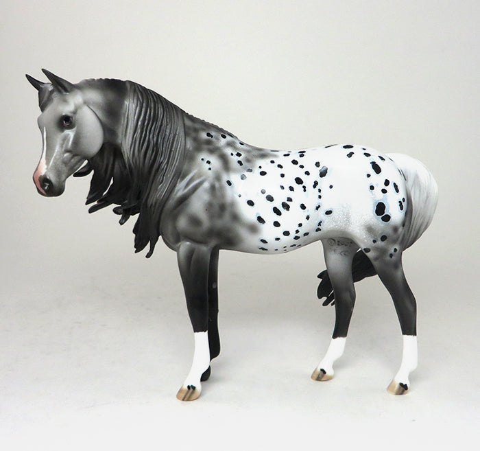 pebbles appaloosa