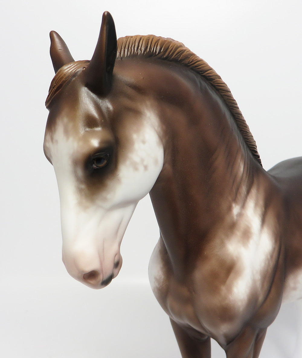 HEARTBREAK HOTEL~OOAK CHESTNUT SABINO ANDALUSIAN MODEL HORSE BY SHERYL LEISURE 6/6/17