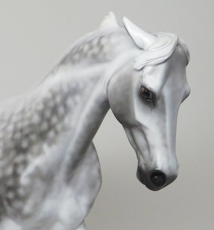 GREY MATTERS-OOAK0DAPPLE GREY THOROUGHBRED MODEL HORSE BY SHERYL LEISURE 12/17