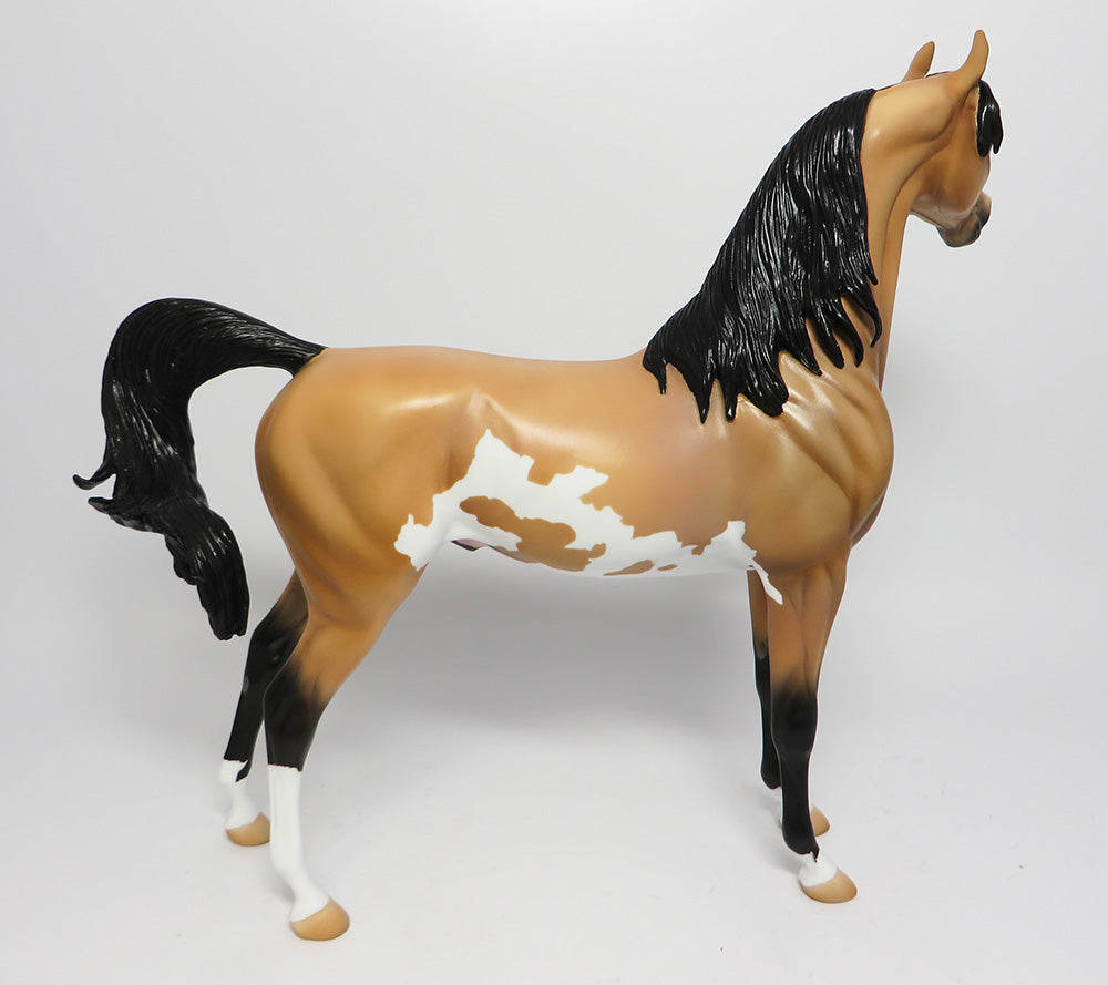 BADWATER-OOAK BUCKSKIN PINTO ARABIAN MODEL HORSE 06/02/17