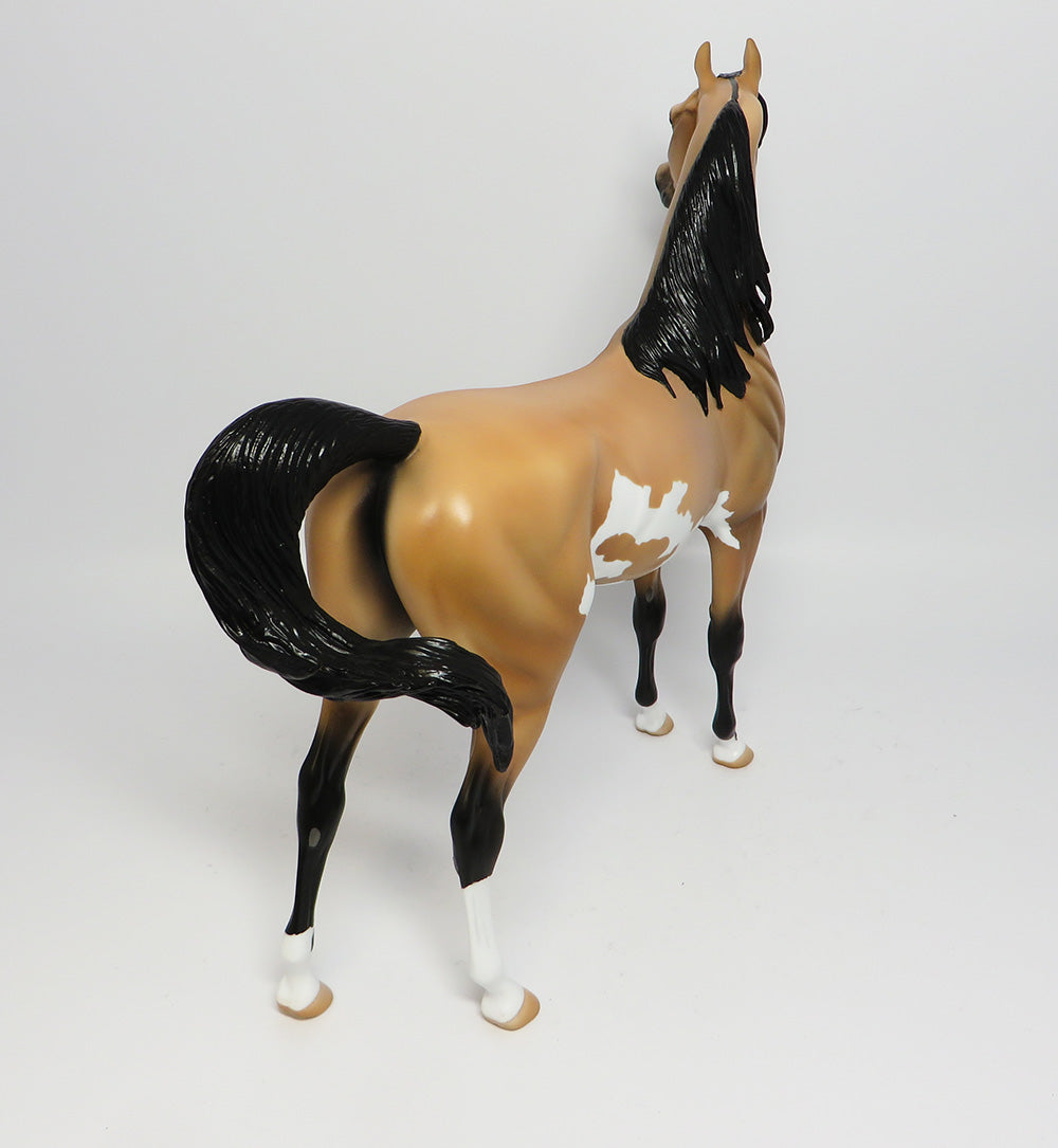 BADWATER-OOAK BUCKSKIN PINTO ARABIAN MODEL HORSE 06/02/17