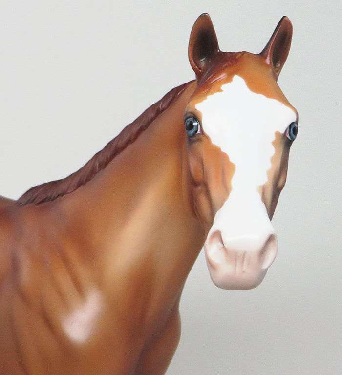 PLURIBUS~LE-2-RED DUN ISH MODEL HORSE 12/15