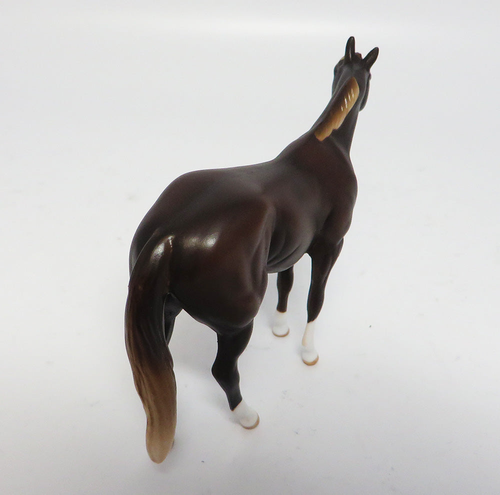 GRADUATION DAY~OOAK DARK DUN CHIP QUARTER HORSE MODEL HORSE 6/8/17