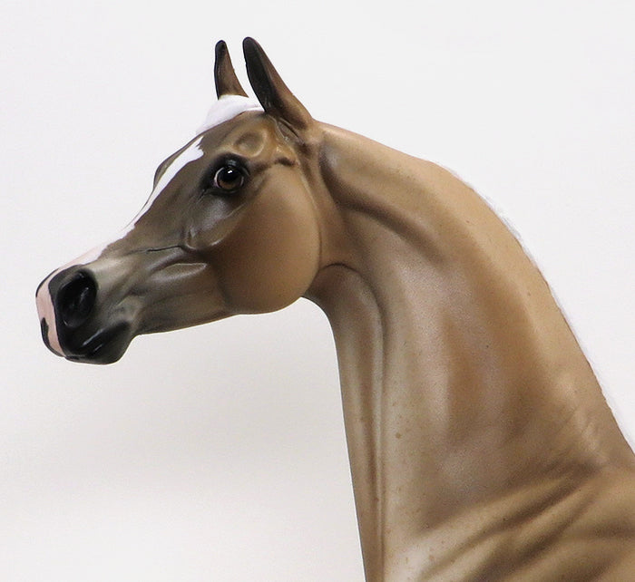 BALADI - OOAK PALOMINO ROAN ARABIAN MODEL HORSE - 10/16