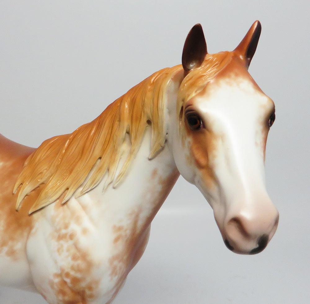 FREEDOM IS GOLDEN~OOAK CHESTNUT SABINO ISH MODEL HORSE