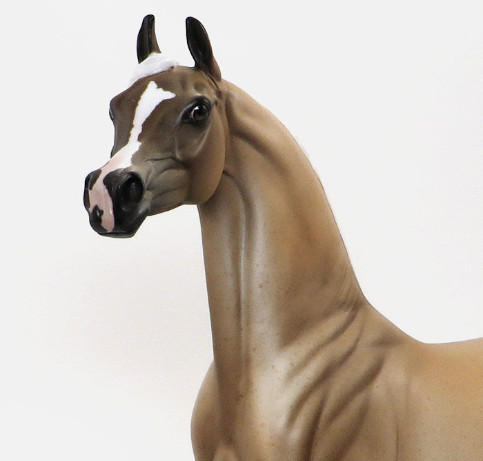 BALADI - OOAK PALOMINO ROAN ARABIAN MODEL HORSE - 10/16