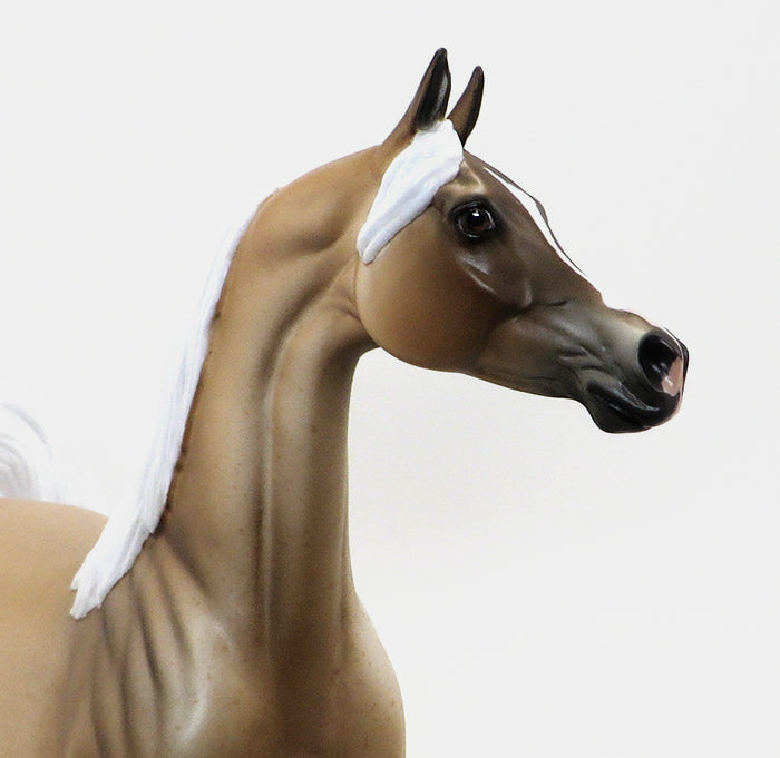 BALADI - OOAK PALOMINO ROAN ARABIAN MODEL HORSE - 10/16