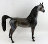 Arabian