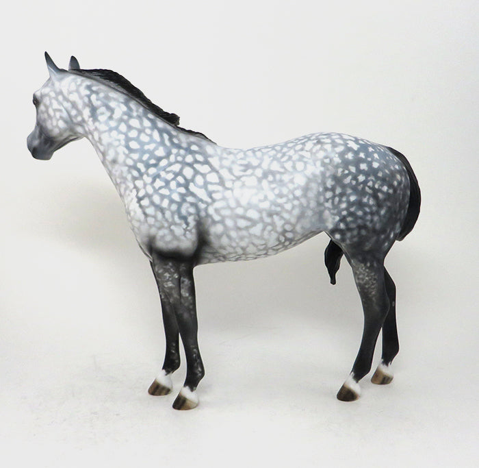 DARK JEDI-OOAK-STAR DAPPLED GREY ISH MARE MODEL HORSE 12/15
