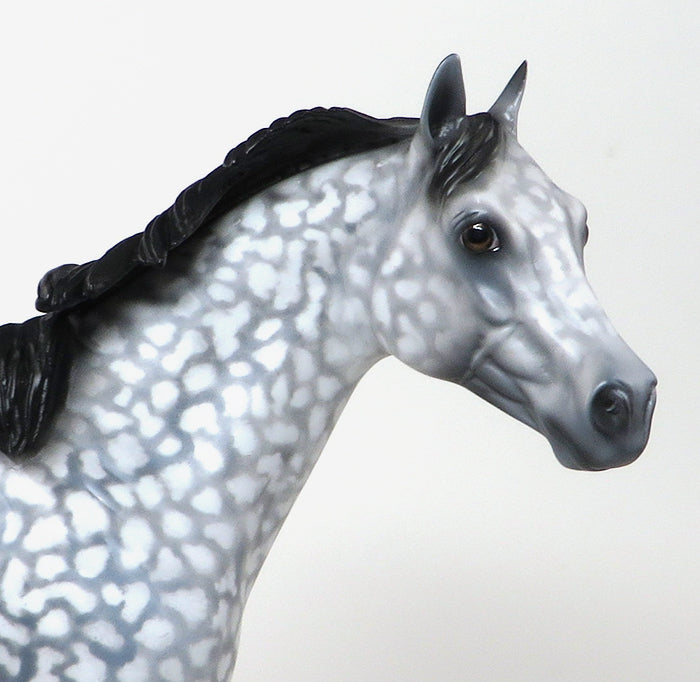 DARK JEDI-OOAK-STAR DAPPLED GREY ISH MARE MODEL HORSE 12/15