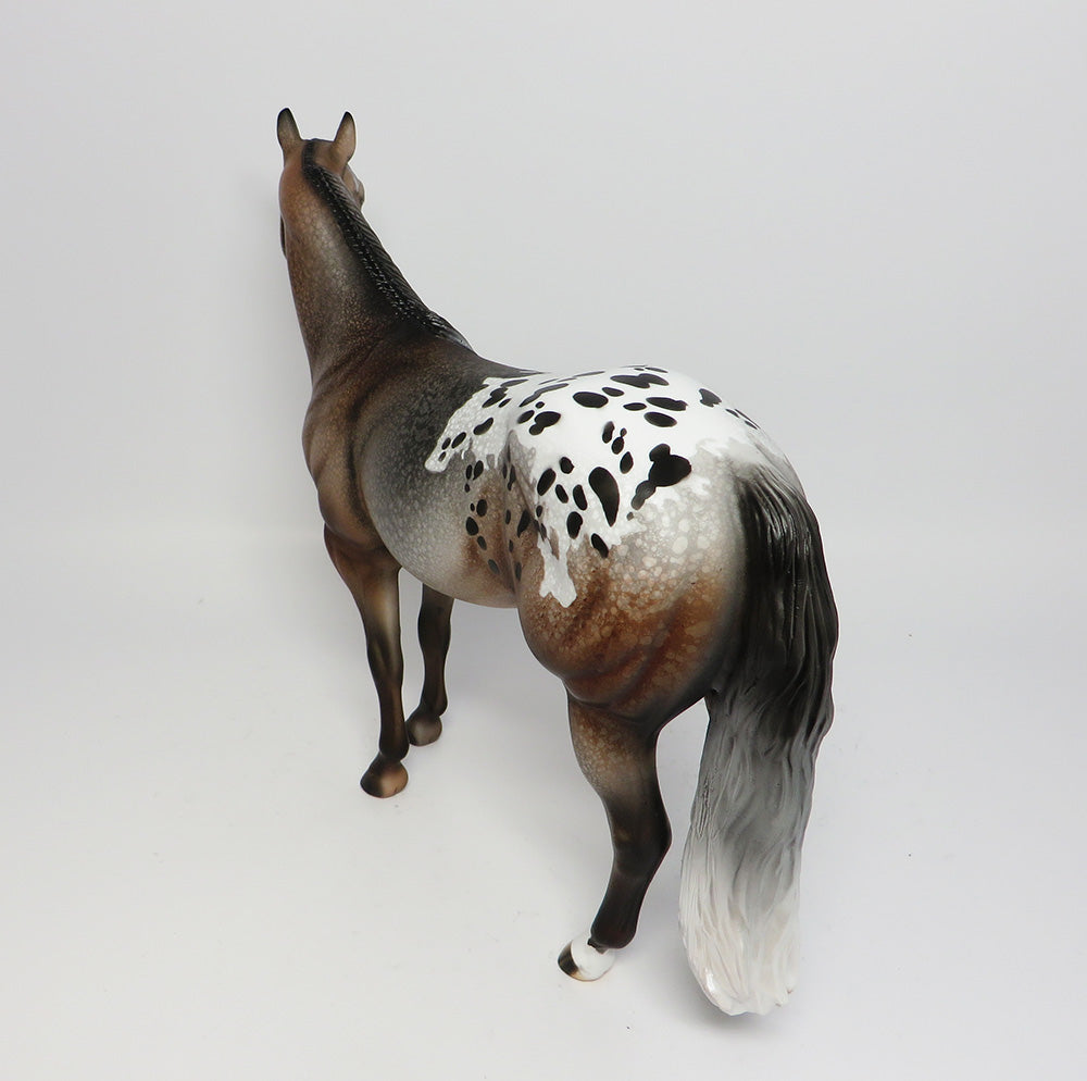 Appaloosa