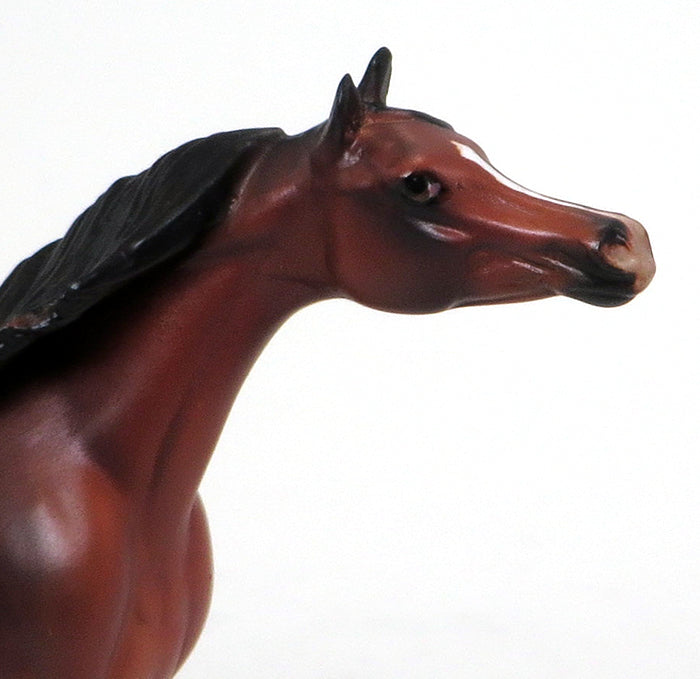 ARABIAN WITH DAPPLES 