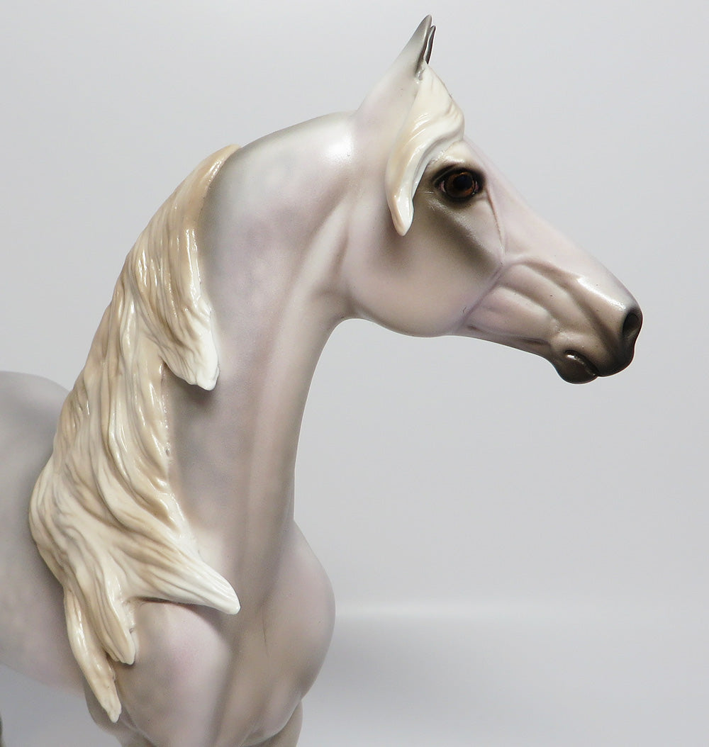 THE PATRIOT~OOAK LIGHT DAPPLE GREY MORGAN MODEL HORSE BY JULIE KEIM EQ 2017