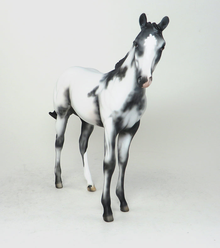 TRAVELER-OOAK-APPALOOSA WEANLING-MODEL HORSE 12/15