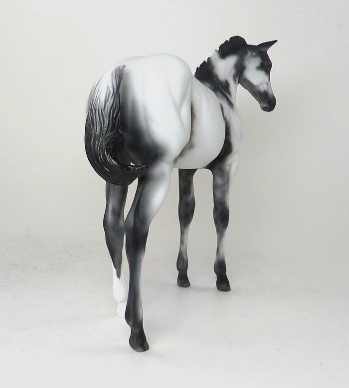 TRAVELER-OOAK-APPALOOSA WEANLING-MODEL HORSE 12/15