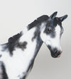 TRAVELER-OOAK-APPALOOSA WEANLING-MODEL HORSE 12/15