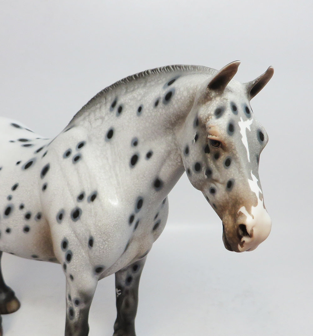 LADY A-OOAK LOUD APPALOOSA HEAVY DRAFT MARE MODEL HORSE BY DAWN QUICK 12/27/17